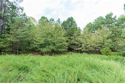 property photo for Stone Bridge Phase V Tract 325, 16.01 acres for sale in LatimerHaskell County, Oklahoma