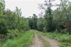 property photo for Stone Bridge Phase V Tract 325, 16.01 acres for sale in LatimerHaskell County, Oklahoma