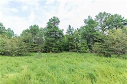 property photo for Stone Bridge Phase V Tract 325, 16.01 acres for sale in LatimerHaskell County, Oklahoma