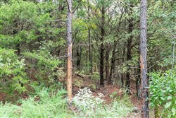 property photo for Stone Bridge Phase V Tract 326, 12.6 acres for sale in LatimerHaskell County, Oklahoma