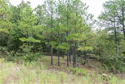 property photo for Stone Bridge Phase V Tract 326, 12.6 acres for sale in LatimerHaskell County, Oklahoma