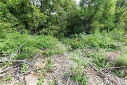 property photo for Stone Bridge Phase V Tract 326, 12.6 acres for sale in LatimerHaskell County, Oklahoma