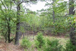 property photo for Stone Bridge Phase V Tract 327, 7.41 acres for sale in LatimerHaskell County, Oklahoma