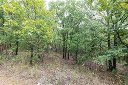 property photo for Stone Bridge Phase V Tract 327, 7.41 acres for sale in LatimerHaskell County, Oklahoma