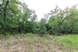 property photo for Stone Bridge Phase V Tract 327, 7.41 acres for sale in LatimerHaskell County, Oklahoma