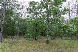 property photo for Stone Bridge Phase V Tract 327, 7.41 acres for sale in LatimerHaskell County, Oklahoma