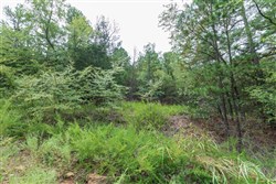 property photo for Stone Bridge Phase V Tract 328, 11.53 acres for sale in LatimerHaskell County, Oklahoma