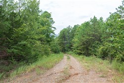 property photo for Stone Bridge Phase V Tract 328, 11.53 acres for sale in LatimerHaskell County, Oklahoma