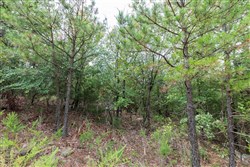 property photo for Stone Bridge Phase V Tract 328, 11.53 acres for sale in LatimerHaskell County, Oklahoma