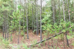 property photo for Stone Bridge Phase V Tract 329, 15.08 acres for sale in LatimerHaskell County, Oklahoma
