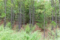property photo for Stone Bridge Phase V Tract 329, 15.08 acres for sale in LatimerHaskell County, Oklahoma