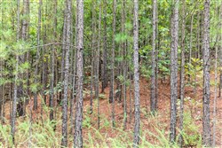 property photo for Stone Bridge Phase V Tract 329, 15.08 acres for sale in LatimerHaskell County, Oklahoma