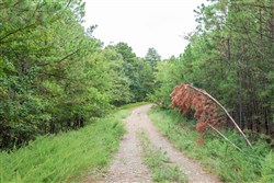 property photo for Stone Bridge Phase V Tract 329, 15.08 acres for sale in LatimerHaskell County, Oklahoma