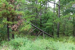 property photo for Stone Bridge Phase V Tract 329, 15.08 acres for sale in LatimerHaskell County, Oklahoma