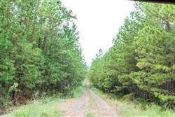 property photo for Stone Bridge Phase V Tract 330, 15.07 acres for sale in LatimerHaskell County, Oklahoma