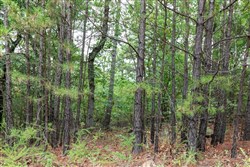 property photo for Stone Bridge Phase V Tract 330, 15.07 acres for sale in LatimerHaskell County, Oklahoma