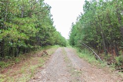 property photo for Stone Bridge Phase V Tract 330, 15.07 acres for sale in LatimerHaskell County, Oklahoma