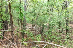 property photo for Stone Bridge Phase V Tract 330, 15.07 acres for sale in LatimerHaskell County, Oklahoma