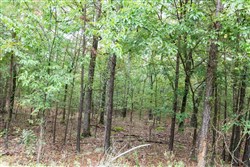 property photo for Stone Bridge Phase V Tract 330, 15.07 acres for sale in LatimerHaskell County, Oklahoma