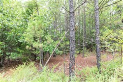 property photo for Stone Bridge Phase V Tract 331, 15.07 acres for sale in LatimerHaskell County, Oklahoma
