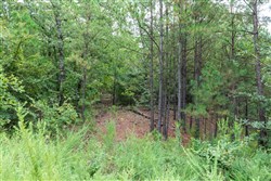 property photo for Stone Bridge Phase V Tract 331, 15.07 acres for sale in LatimerHaskell County, Oklahoma
