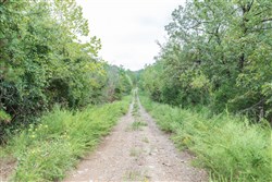 property photo for Stone Bridge Phase V Tract 332, 15.09 acres for sale in LatimerHaskell County, Oklahoma