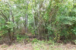 property photo for Stone Bridge Phase V Tract 332, 15.09 acres for sale in LatimerHaskell County, Oklahoma