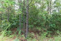 property photo for Stone Bridge Phase V Tract 332, 15.09 acres for sale in LatimerHaskell County, Oklahoma
