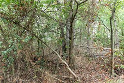 property photo for Stone Bridge Phase V Tract 333, 15.09 acres for sale in LatimerHaskell County, Oklahoma