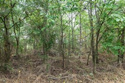property photo for Stone Bridge Phase V Tract 333, 15.09 acres for sale in LatimerHaskell County, Oklahoma