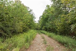 property photo for Stone Bridge Phase V Tract 333, 15.09 acres for sale in LatimerHaskell County, Oklahoma