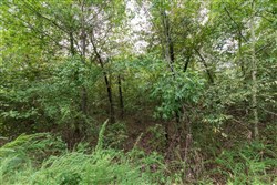 property photo for Stone Bridge Phase V Tract 333, 15.09 acres for sale in LatimerHaskell County, Oklahoma