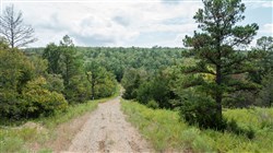 Stone Bridge Phase V Tract 334