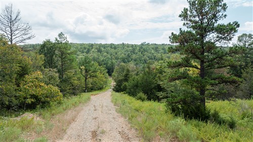 Stone Bridge Phase V Tract 334
