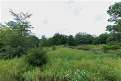 Stone Bridge Phase V Tract 334