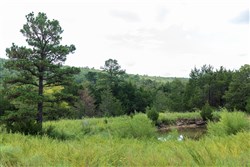 Stone Bridge Phase V Tract 334