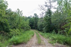 property photo for Stone Bridge Phase V Tract 335, 14.83 acres for sale in LatimerHaskell County, Oklahoma