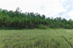 property photo for Stone Bridge Phase V Tract 335, 14.83 acres for sale in LatimerHaskell County, Oklahoma