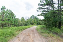 property photo for Stone Bridge Phase V Tract 336, 12.21 acres for sale in LatimerHaskell County, Oklahoma