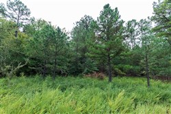 property photo for Stone Bridge Phase V Tract 336, 12.21 acres for sale in LatimerHaskell County, Oklahoma