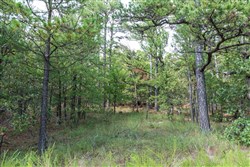 property photo for Stone Bridge Phase V Tract 337, 12.01 acres for sale in LatimerHaskell County, Oklahoma