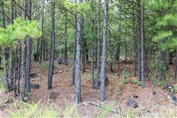property photo for Stone Bridge Phase V Tract 337, 12.01 acres for sale in LatimerHaskell County, Oklahoma