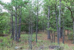 property photo for Stone Bridge Phase V Tract 337, 12.01 acres for sale in LatimerHaskell County, Oklahoma