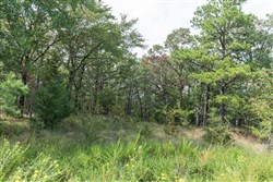 property photo for Stone Bridge Phase V Tract 338, 13.16 acres for sale in LatimerHaskell County, Oklahoma