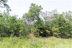 property photo for Stone Bridge Phase V Tract 338, 13.16 acres for sale in LatimerHaskell County, Oklahoma