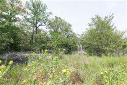 property photo for Stone Bridge Phase V Tract 338, 13.16 acres for sale in LatimerHaskell County, Oklahoma