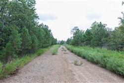 property photo for Stone Bridge Phase V Tract 339, 11.96 acres for sale in LatimerHaskell County, Oklahoma