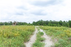 property photo for Stone Bridge Phase V Tract 340, 33.86 acres for sale in LatimerHaskell County, Oklahoma