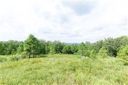 property photo for Stone Bridge Phase V Tract 340, 33.86 acres for sale in LatimerHaskell County, Oklahoma