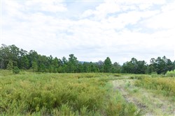 property photo for Stone Bridge Phase V Tract 340, 33.86 acres for sale in LatimerHaskell County, Oklahoma